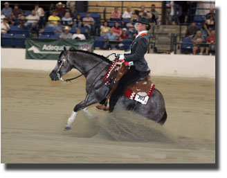 Anky on a reining horse