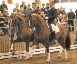 Ronnefarth on the right, riding stallion Royal Olymp