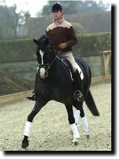 Carl Hester on Negretto