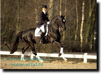 Delphine Meiresonne and Don Renoir. A combination expected to compete in the Pikeur finals