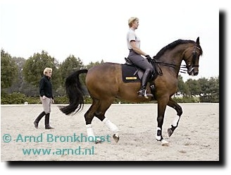 mary hanna, here training Prenteder with Sjef Jansen