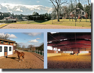 Dressage stable Rothenberger